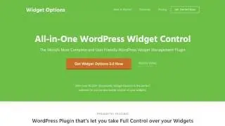 Widget Options for WordPress