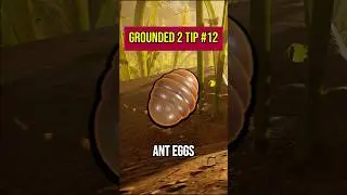 Grounded 2 Tips You NEED To Know #12! Did You Know This?