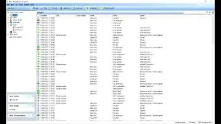 How to Set a Fire Alarm Input in Paxton Net2 Pro Software