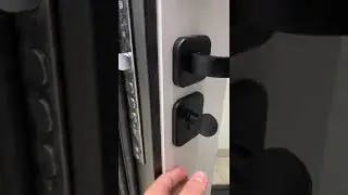 Дверь входная Брест зеркало