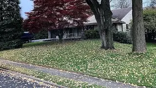 Edging Overgrown Lawn