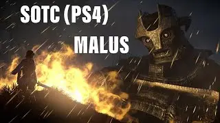 #SotC