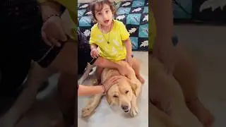 Gapudi: Ye to maine bhi nahi socha tha 😂 | SourShy