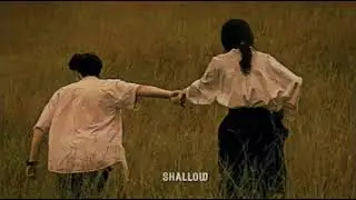 shallow - Lady Gaga, Bradley Cooper | I'm off the deep end, watch as I dive in