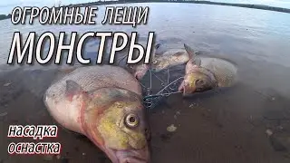 ОНИ ПРОСТО ОГРОМНЫЕ!! ЛОВЛЯ КРУПНОГО ЛЕЩА НА МАКАРОНЫ В СЕНТЯБРЕ. Рыбалка на леща осенью
