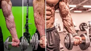 Exercise for FOREARM at Home #forearmworkout