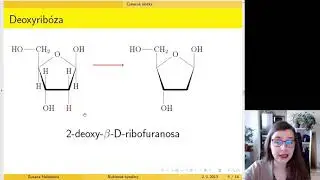Nukleové kyseliny – úvod do chemické struktury