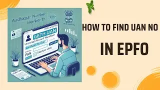 How to Find Your UAN Number Online: Step-by-Step Guide