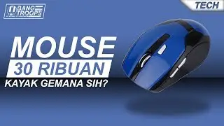 Mouse 30 Ribuan, Kayak Gemana Sih?