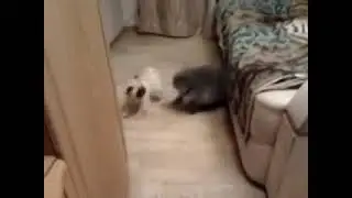 Кнопка и Рич