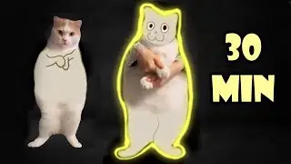 Cat Dancing to EDM 2D Animation (30 min)