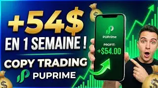 Copy trading : Revenu passif sur PUprime ||54$ généré en 1 semaine 