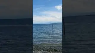 Bodensee Озеро надежды #германия #швейцария #озеро #путешествия #песни  #музыка #европа #отдых