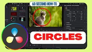 How to draw circles with Da Vinci Resolve