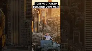 Только сталкер выкупит этот мем 