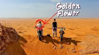 Dune gliding with a Golden Flower