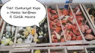 Kanarya Yarışması için Manisa'ya gittik