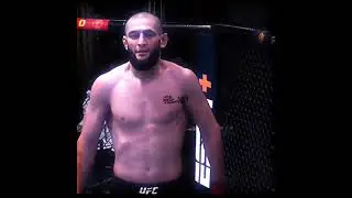 Хамзат чимаев