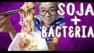 NO COMAS NATTO sin ver este video! - Como comer Natto