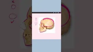 you NEED to know this for drawing PROFILES✍️🏼