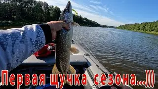 Первая щучка на спиннинг сезона 2024....))))) Радость долгожданного улова .