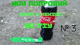 ШОУ ПОПРОБУЙ 
