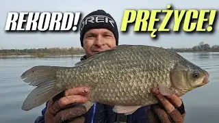 537 KOLEJNY REKORD! BRANIA W TEMPO. ZALEW PRĘŻYCE.