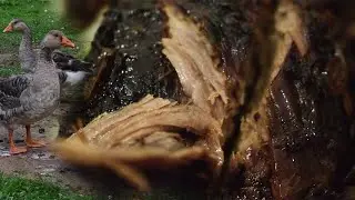 Готовим на даче с Юлей подарок от Андрея - гуся из 