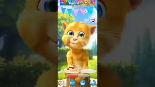 SHORTS TALKING GINGER #290