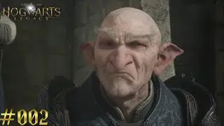 Hogwarts Legacy #002 - Die gekreuzten Stäbe / Neue Zauber, neue Freunde / Der Vorfall in Hogsmeade