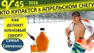 Закаляемся на снегу. Как делают Кленовый сироп? Многодетная семья Савченко