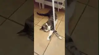 Всё как ты любишь 