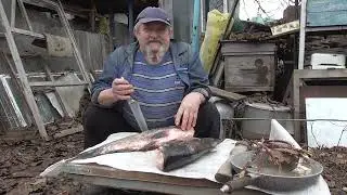 Мой улов 