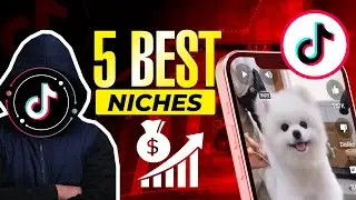 5 Best Niches For the TikTok Creativity Program in 2024