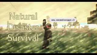Прогулка по свежему воздуху | Natural Disaster Survival | Roblox