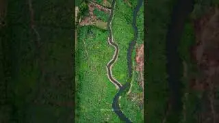 River boder in Eagle view || Beauty of nature || Nature love whatsapp status || Forest drone view