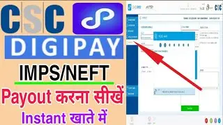 Digipay Wallet Payout kaise kre || How to Payout in csc digipay | How to digipay Payout 2021 ||