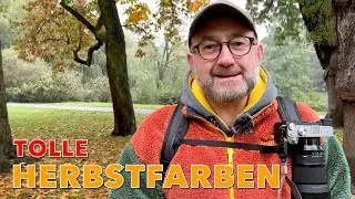 Tolle Herbstfarben fotografieren