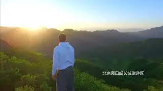 随心所域