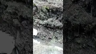 Урал. Рыбалка охота ягдтерьер🦡