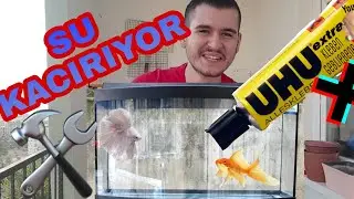 AKVARYUMA SİLİKON ÇEKİYORUZ  
