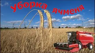 Barley harvest, our first crop.