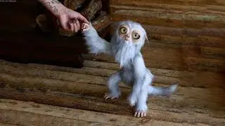 Animals That Are the Last of Their Kind