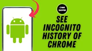 How to See Incognito History of Chrome on Android