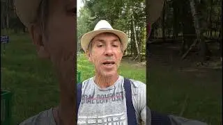 Великий Народу помощник #деревня #nature #village #shortvideo #shorts #short