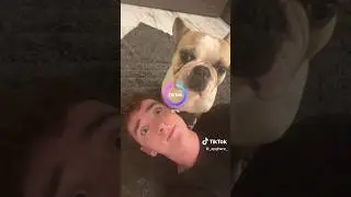 КАК СТАНА ТОВА⁉️🤣🐶 