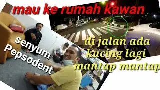 mau kerumah kawan || di jalan ada kucing lagi mantap-mantap || Motovlog Indonesia