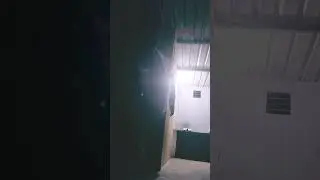 16 जुलाई 2024