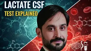 Lactate CSF Test | MLT Hub with kamran