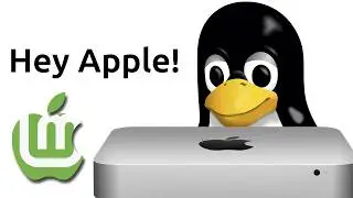 Installing Linux Mint on an old Mac Mini